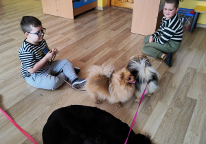 Krzysiu z Yaroslavem podczas zajęć z dogoterapii