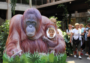 Wycieczka do łódzkiego zoo