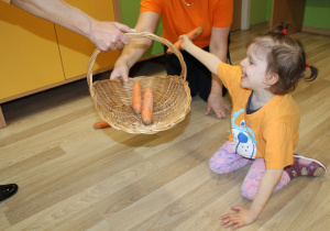 Dzień pomarańczowy - na zdjęciu Nadia zbiera marchewki do koszyka