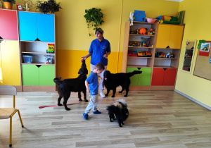 Zajęcia z dogoterapii - Wiktor prowadzi pieski na smyczy