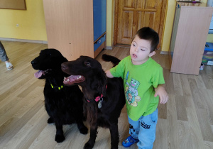 Zajęcia z dogoterapii - Antoś głaszcze psy