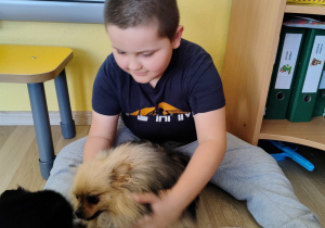 Zajęcia z dogoterapii - Mikołaj bawi się z pieskami