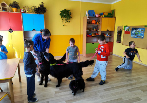 Zajęcia z dogoterapii - Chłopcy bawią się z psami