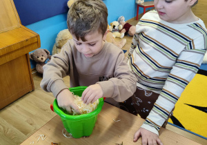 Boguś i Krzysiu szukają misia.