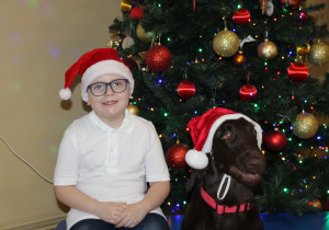Świąteczne zajęcia z dogoterapii - na zdjęciu Yaroslav