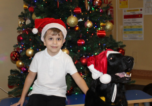 Świąteczne zajęcia z dogoterapii - na zdjęciu Boguś