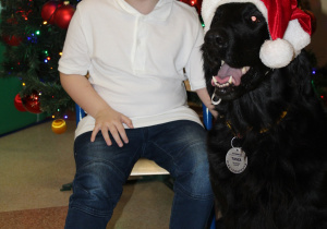 Świąteczne zajęcia z dogoterapii - na zdjęciu Yaroslav