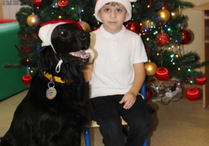 Świąteczne zajęcia z dogoterapii - na zdjęciu Boguś