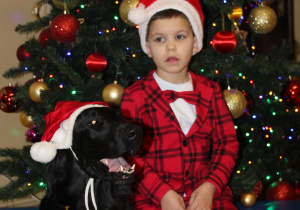 Świąteczne zajęcia z dogoterapii - na zdjęciu Mikołaj