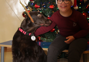Świąteczne zajęcia z dogoterapii - na zdjęciu Szymon
