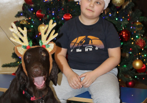 Świąteczne zajęcia z dogoterapii - na zdjęciu Mikołaj