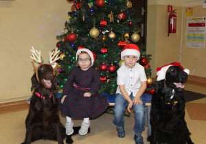 Świąteczne zajęcia z dogoterapii - na zdjęciu Marysia i Wiktor