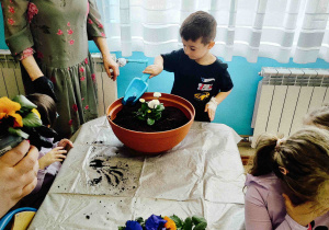 Wiktor nasypuje ziemi do donicy