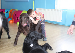 Kwietniowe zajęcia z dogoterapii - na zdjęciu Wiktor z pieskiem