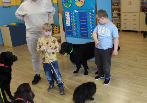 Kwietniowe zajęcia z dogoterapii - na zdjęciu Szymon i Mikołaj z czworonogami