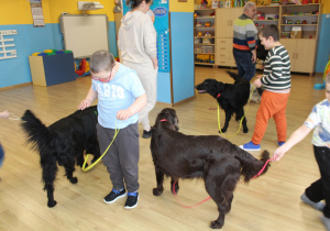 Kwietniowe zajęcia z dogoterapii - na zdjęciu Szymon i Krzysiu podczas zabawy z pieskami