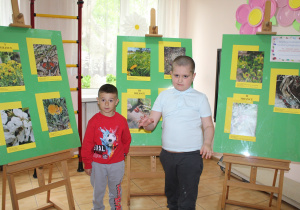 Konkurs Fotograficzny w Publicznym Przedszkolu Nr 6 w Radomsku