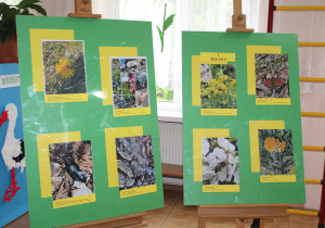 Konkurs Fotograficzny w Publicznym Przedszkolu Nr 6 w Radomsku