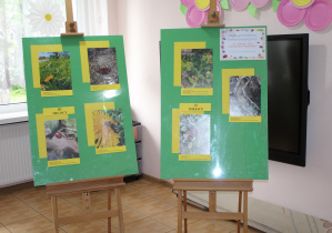 Konkurs Fotograficzny w Publicznym Przedszkolu Nr 6 w Radomsku