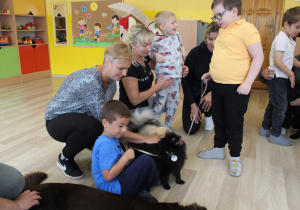 Festyn Rodzinny - na zdjęciu zajęcia dogoterapii